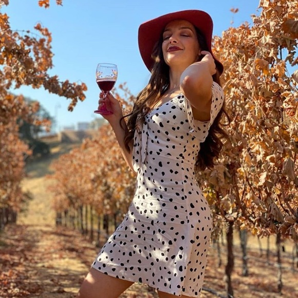 Meet your Posher, Sydney - Picture 3 of 4